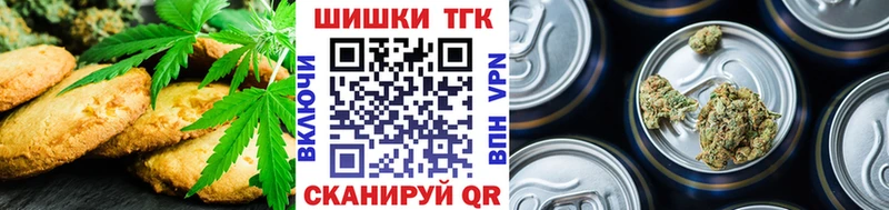 Купить закладки  Злынка  Cannafood конопля 