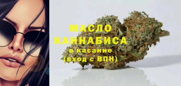 spice Михайлов