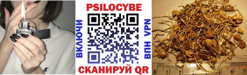 Галлюциногенные грибы Psilocybine cubensis  Купить закладки  Злынка 